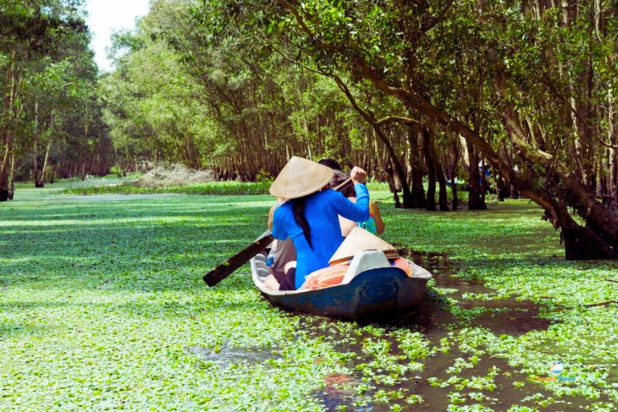 Tourists rowing boat through Tra Su Cajuput Forest in An Giang Vietnam – Auasia Travel